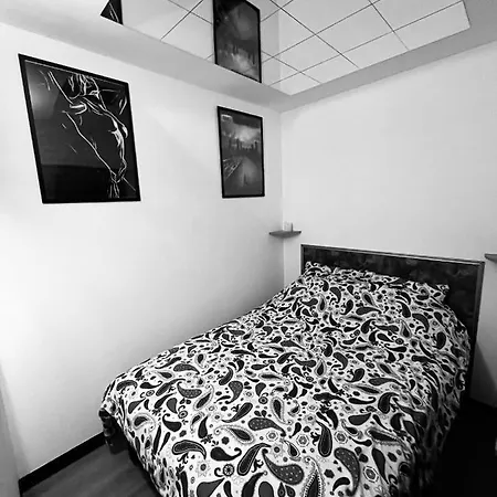 Love Room 208 Appartement 30M2 Lambersart Extérieur photo